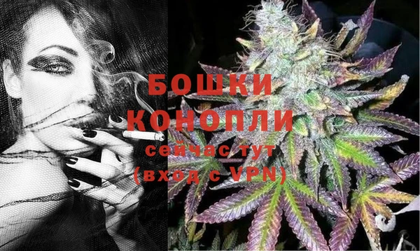 ПСИЛОЦИБИНОВЫЕ ГРИБЫ Верхний Тагил