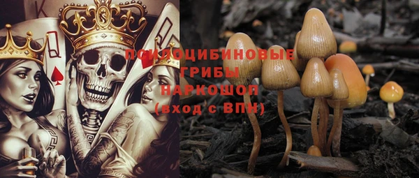 ПСИЛОЦИБИНОВЫЕ ГРИБЫ Верхний Тагил