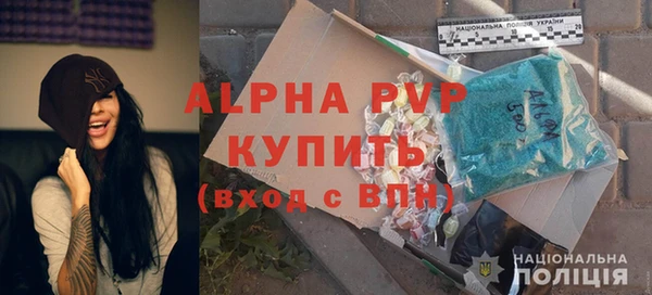 спиды Зеленокумск