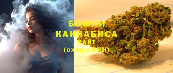 ПСИЛОЦИБИНОВЫЕ ГРИБЫ Верхний Тагил