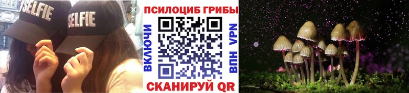 Псилоцибиновые грибы прущие грибы  Людиново 